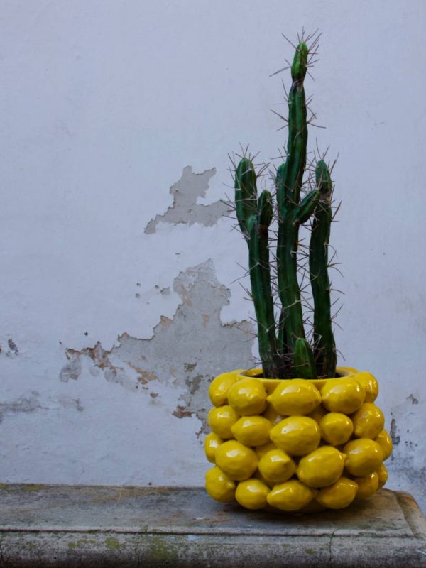 limoni