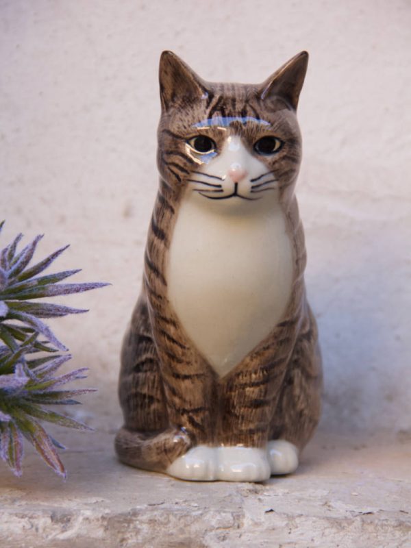 gatto