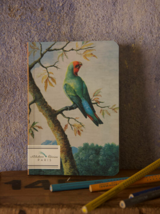 quaderno pappagallo