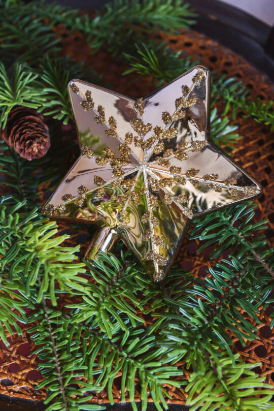 stella natale