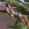 Bird glass